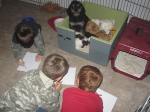 kids drawing nursing puppie
